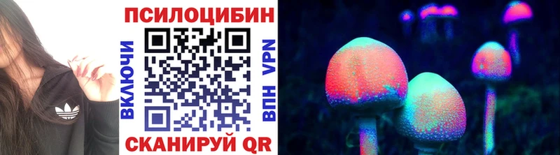 Галлюциногенные грибы Psilocybe Волгоград