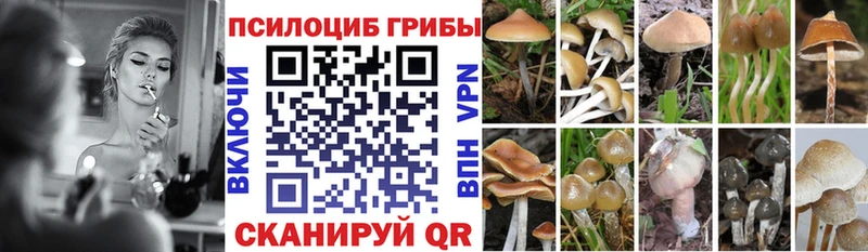 Псилоцибиновые грибы мухоморы  blacksprut ONION  Волгоград 