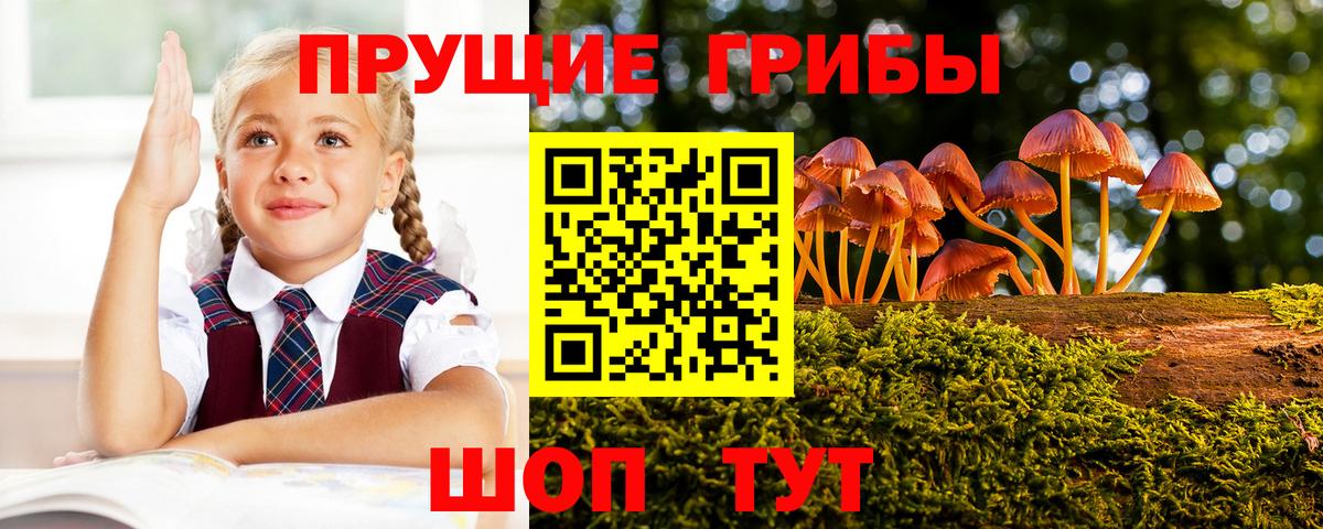 Волгоград  Галлюциногенные грибы ЛСД  Вход с VPN 